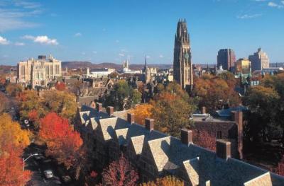 Yale and New Haven  Department of Psychology